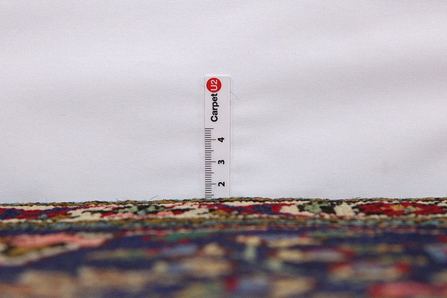 Jozan - Sarouk Persian Carpet 300x205 - Picture 7