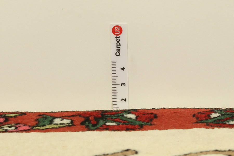 Kashkooli - Gabbeh Persian Carpet 58x90 - Picture 6