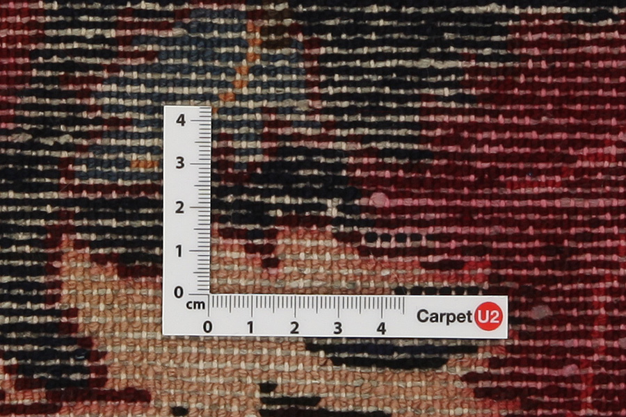 Bakhtiari - Garden Persian Carpet 303x164 - Picture 3