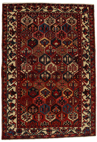 Bakhtiari Persian Carpet 306x215
