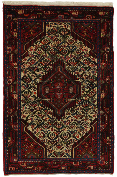 Enjelas - Hamadan Persian Carpet 167x106