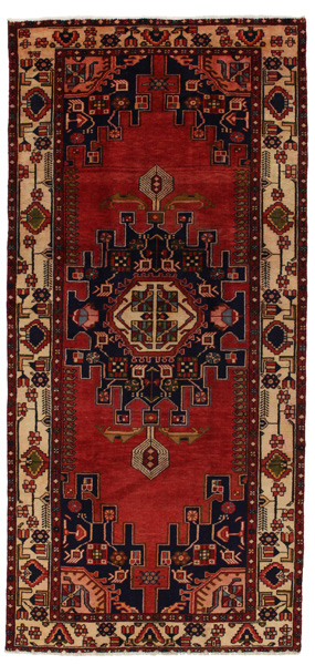 Tuyserkan - Hamadan Persian Carpet 315x146