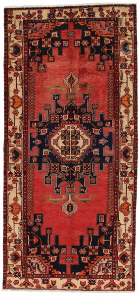 Zanjan - Hamadan Persian Carpet 308x144
