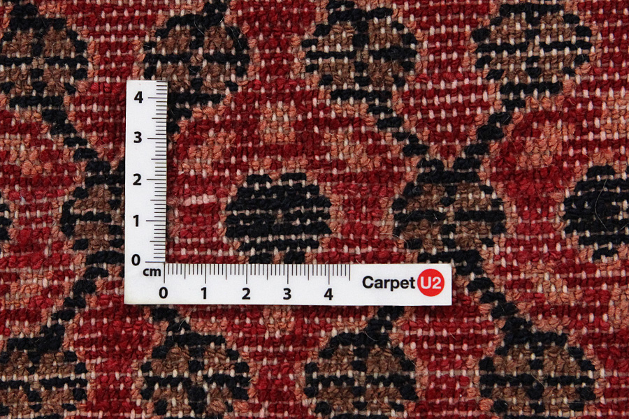 Songhor - Koliai Persian Carpet 385x75 - Picture 3