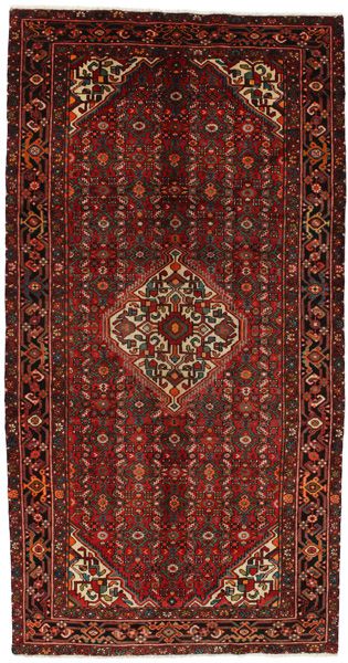 Borchalou - Hamadan Persian Carpet 307x158