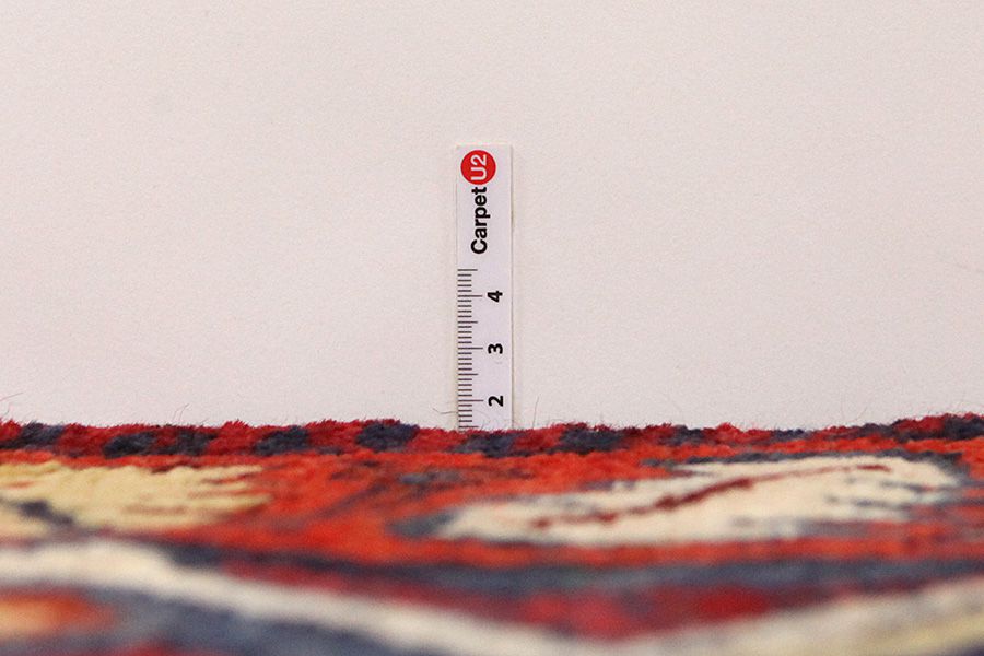 Tuyserkan - Hamadan Persian Carpet 218x161 - Picture 7