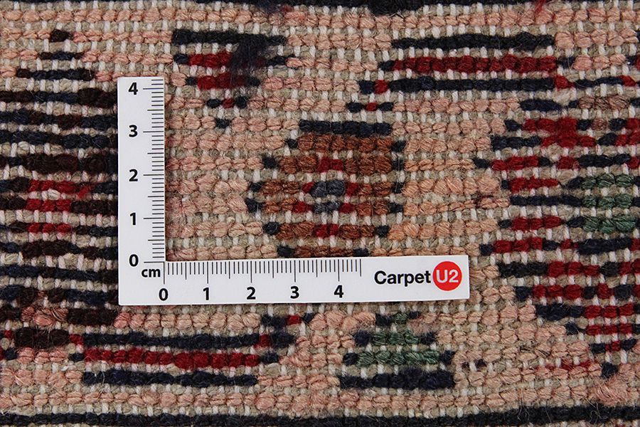Borchalou - Hamadan Persian Carpet 315x213 - Picture 3