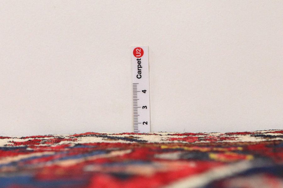 Bakhtiari Persian Carpet 315x207 - Picture 7