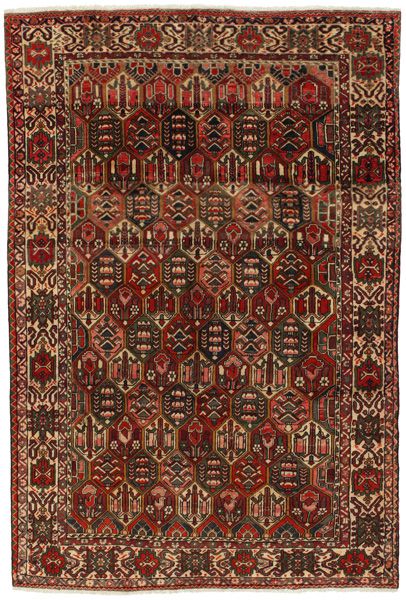 Bakhtiari - Garden Persian Carpet 305x205