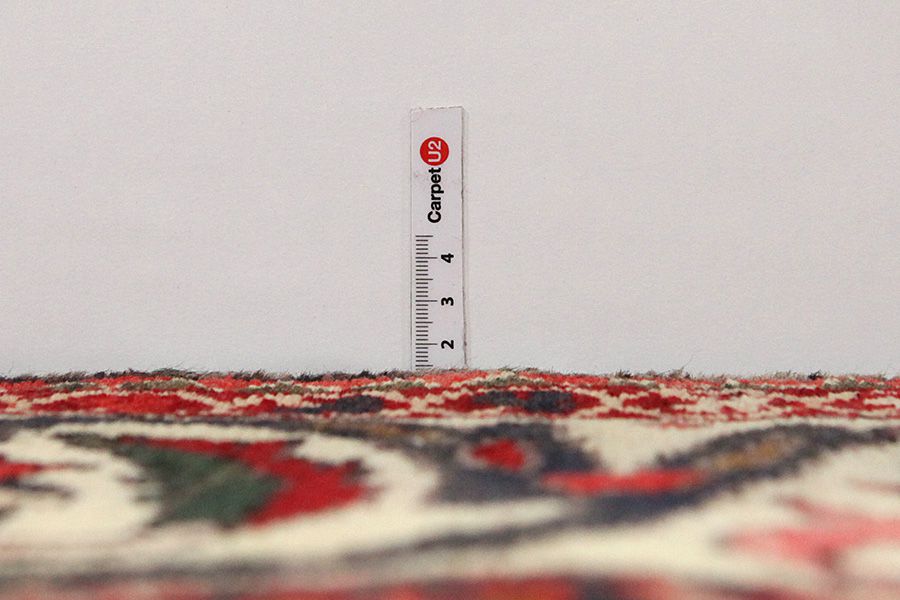 Bakhtiari Persian Carpet 309x223 - Picture 7