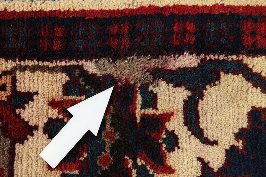 Bakhtiari - Garden Persian Carpet 300x160 - Picture 8
