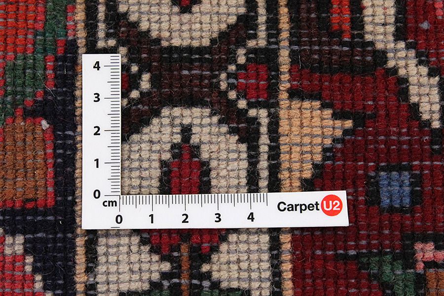 Jozan - Sarouk Persian Carpet 306x210 - Picture 3