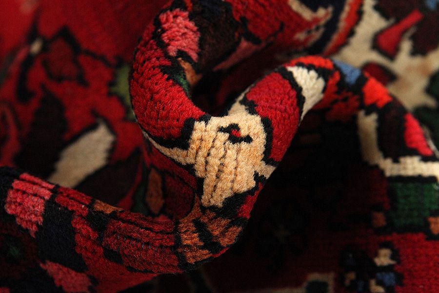 Jozan - Sarouk Persian Carpet 306x210 - Picture 6