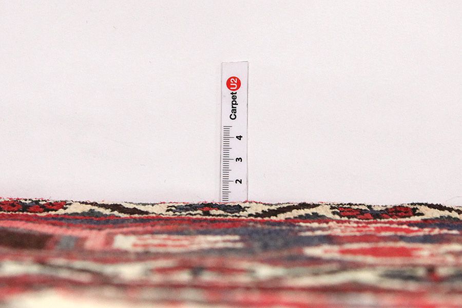 Bakhtiari Persian Carpet 307x205 - Picture 7