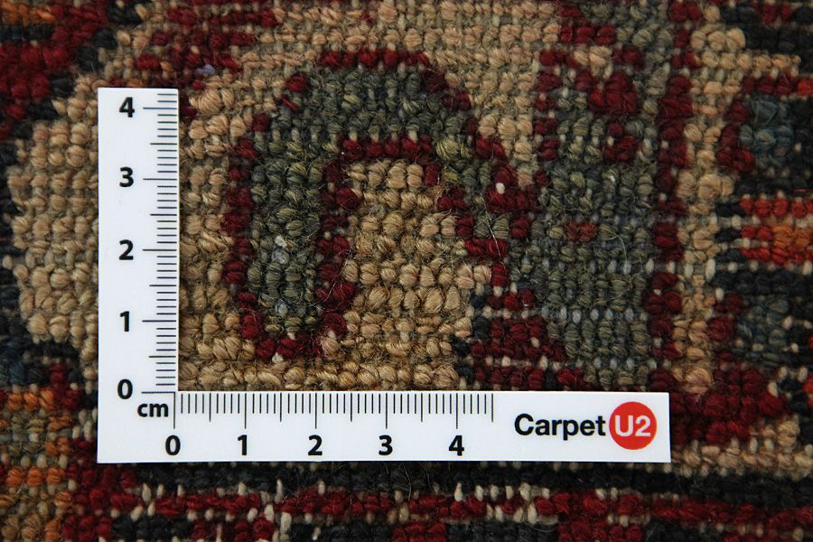 Nahavand - Hamadan Persian Carpet 295x152 - Picture 3