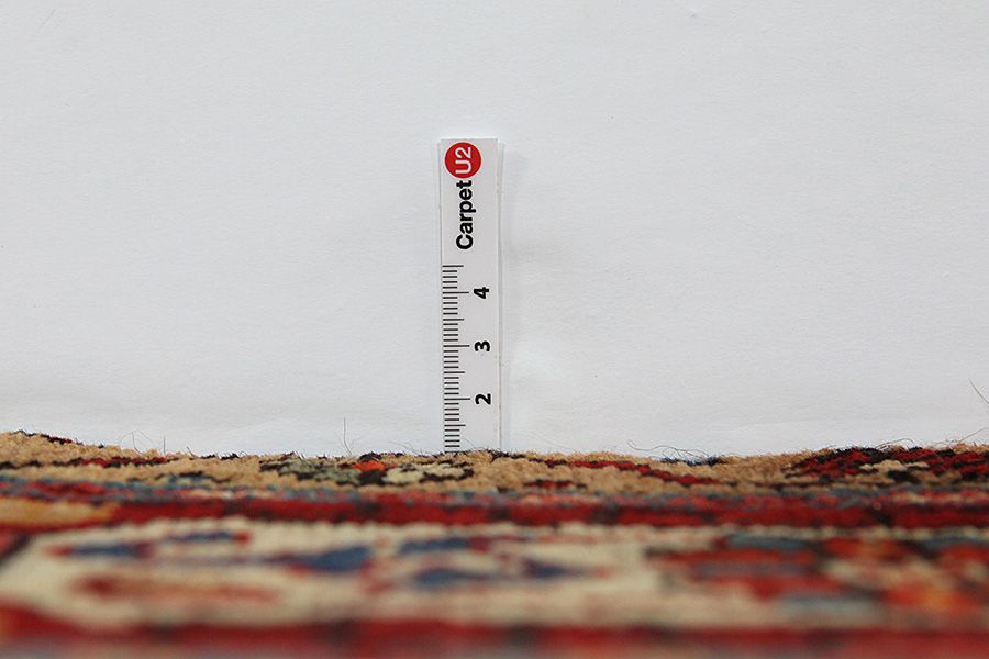 Nahavand - Hamadan Persian Carpet 295x152 - Picture 7