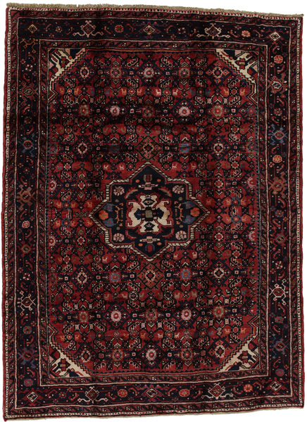 Hosseinabad - Hamadan Persian Carpet 206x153