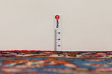 Bakhtiari Persian Carpet 306x206 - Picture 8