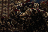 Songhor - Koliai Persian Carpet 335x212 - Picture 7