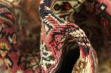 Tabriz Persian Carpet 290x200 - Picture 7