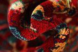 Jozan - Sarouk Persian Carpet 265x164 - Picture 7