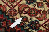 Senneh - Kurdi Persian Carpet 300x196 - Picture 17