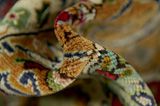 Kerman - Lavar Persian Carpet 370x270 - Picture 7