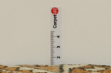 Gabbeh - Bakhtiari Persian Carpet 270x124 - Picture 8