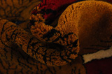 Kashkooli - Gabbeh Persian Carpet 150x102 - Picture 7