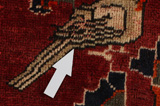 Qashqai - Shiraz Persian Carpet 278x152 - Picture 18