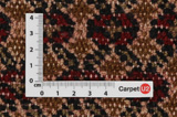 Songhor - Koliai Persian Carpet 308x188 - Picture 4