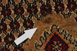 Songhor - Koliai Persian Carpet 308x188 - Picture 18