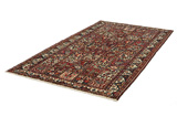 Bakhtiari Persian Carpet 303x164 - Picture 2