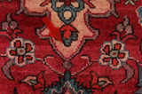 Jozan - Sarouk Persian Carpet 319x225 - Picture 17
