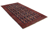 Hosseinabad - Hamadan Persian Carpet 318x158 - Picture 1