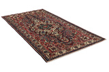 Nahavand - Hamadan Persian Carpet 293x157 - Picture 1