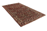 Bakhtiari - Garden Persian Carpet 304x170 - Picture 1