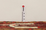 Lori - Bakhtiari Persian Carpet 223x160 - Picture 8