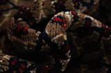 Songhor - Koliai Persian Carpet 310x204 - Picture 7