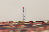 Bakhtiari Persian Carpet 305x208 - Picture 8