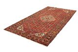 Borchalou - Hamadan Persian Carpet 307x158 - Picture 2