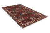 Bakhtiari - Garden Persian Carpet 290x167 - Picture 1