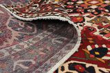 Bakhtiari Persian Carpet 306x207 - Picture 5