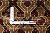 Songhor - Koliai Persian Carpet 300x152 - Picture 4