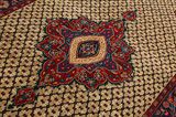 Songhor - Koliai Persian Carpet 303x146 - Picture 10