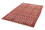 Gabbeh - Bakhtiari Persian Carpet 245x151 - Picture 2