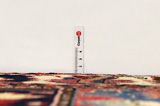 Bakhtiari - Garden Persian Carpet 290x166 - Picture 8