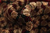 Songhor - Koliai Persian Carpet 300x150 - Picture 7