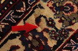 Bakhtiari - Garden Persian Carpet 290x156 - Picture 18