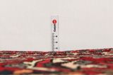 Bakhtiari Persian Carpet 316x217 - Picture 8